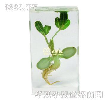 ��������l(f��)ѿ�^(gu��)��