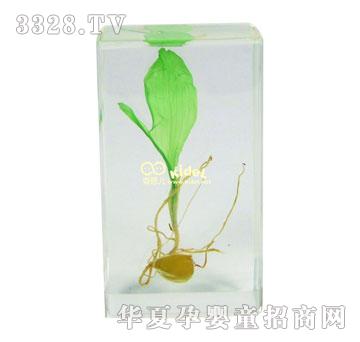 ������װl(f��)ѿ�^(gu��)��