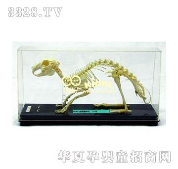 ����ù�����(bi��o)��