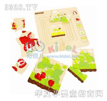 �������ƴ�D-��ݮ