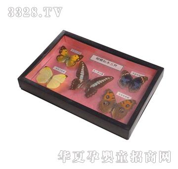 ����ͯ�ݺ�����(bi��o)��