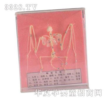 ����ͯ�����������(bi��o)��