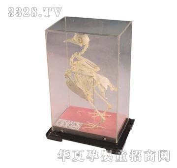 ����ͯ����������(bi��o)��