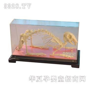 ����ͯ���ù�����(bi��o)��