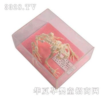 ����ͯ���ܹ�����(bi��o)��