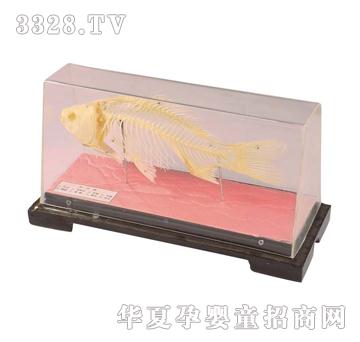 ����ͯ���~(y��)������(bi��o)��