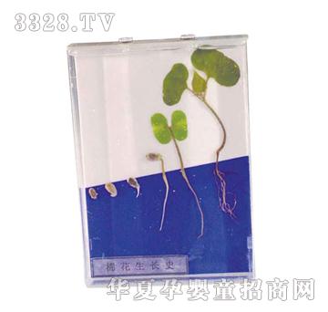 ����ͯ���޻����L(zh��ng)ʷ��(bi��o)��