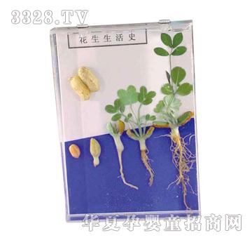 ����ͯ�ݻ������L(zh��ng)ʷ��(bi��o)��