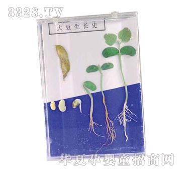 ����ͯ�ݴ����L(zh��ng)ʷ��(bi��o)��