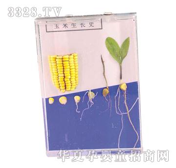 ����ͯ���������L(zh��ng)ʷ��(bi��o)��