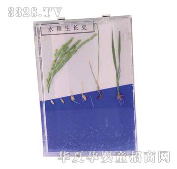 ����ͯ��ˮ�����L(zh��ng)ʷ��(bi��o)��