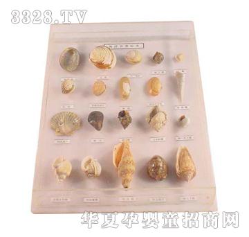 ����ͯ�ݺ���ؐ����(bi��o)��