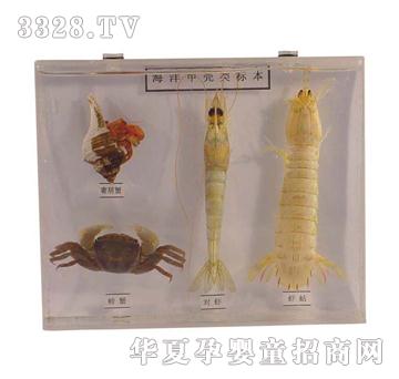 ����ͯ�ݺ���ך���(bi��o)��