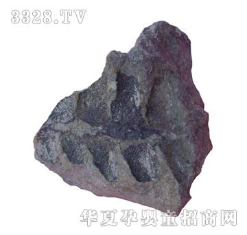 ����ͯ��ާ�ʯ��(bi��o)��