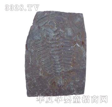 ����ͯ�����~�x(ch��ng)��ʯ��(bi��o)��