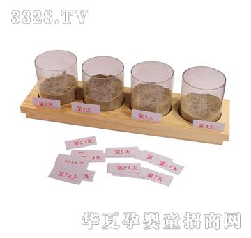 ����ͯ��ֲ�����L(zh��ng)�^(gu��)�̽M