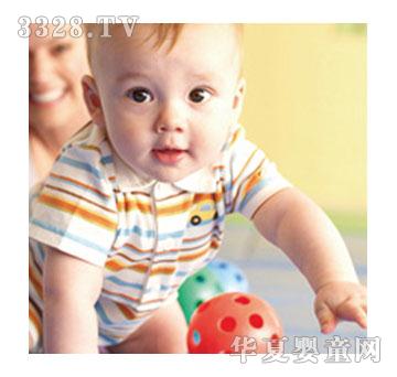 ����ؐ���ˇ�g(sh��)�n�̌W(xu��)��(x��)