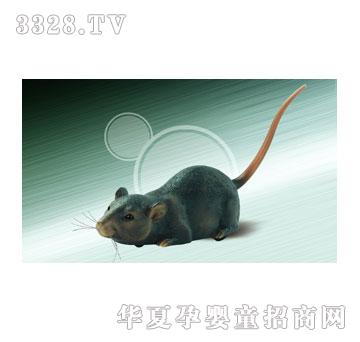 ��˹�_������