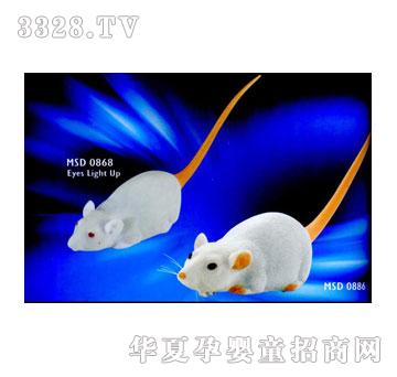 ��˹�_С����