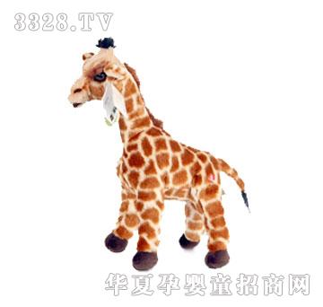 ���xë�q�L�i¹�������L�i¹