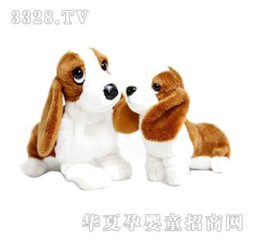 ���xë�q���-���R