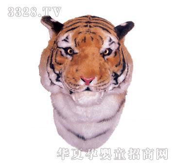 ̩���S���^