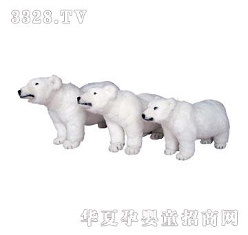 ̩�������O��