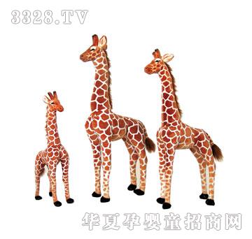 ̩�����L�i¹