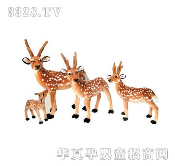 ̩����÷��¹