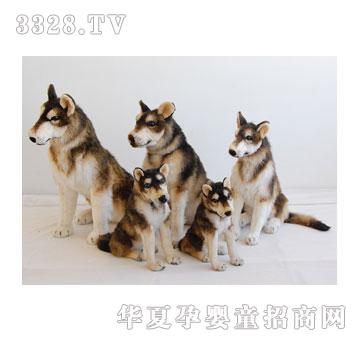 ̩���Ứ��ѩ��Ȯ