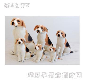 ̩����׸���