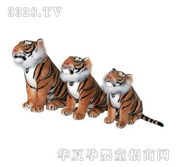 ̩����S��HD-BR