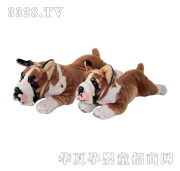 ̩��ſ�Sȭ��Ȯ