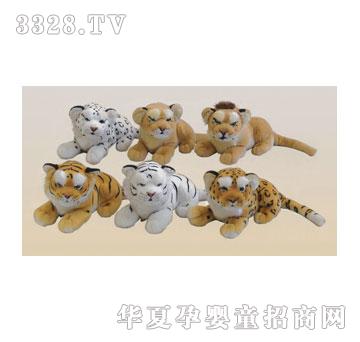 ̩��35cm���׻����{