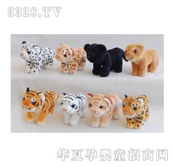 ̩��16cm�������{