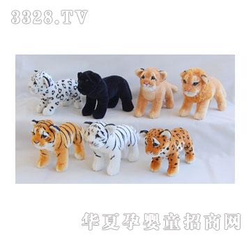 ̩��25CM�������{