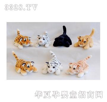 ̩��20CM���������{