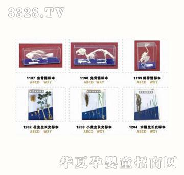 ��������ϵ��QX-013