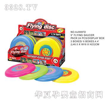 �W�����z�w�P(p��n)AJ066FD