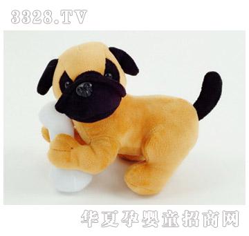 ���R�йǹ����