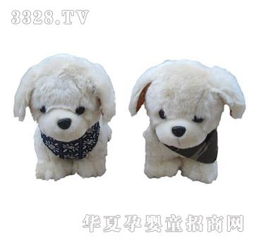 ���R����������