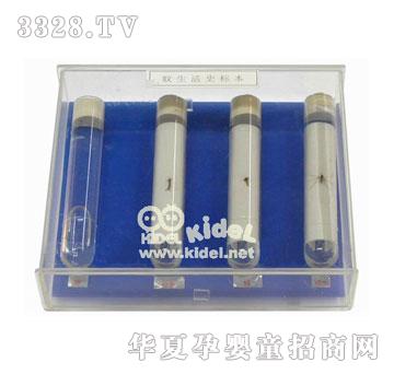 ���������ʷ��(bi��o)��