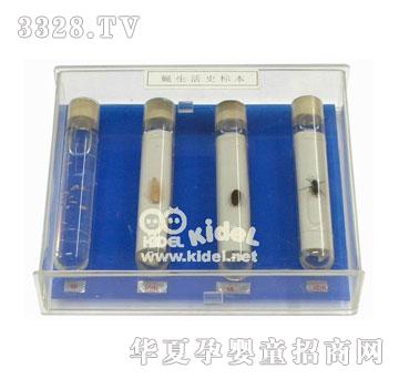 ���ω���L(zh��ng)ʷ��(bi��o)��