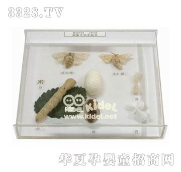 ������Q����ʷ��(bi��o)��