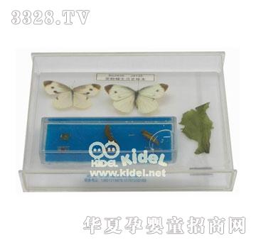 ����˷۵�����ʷ��(bi��o)��