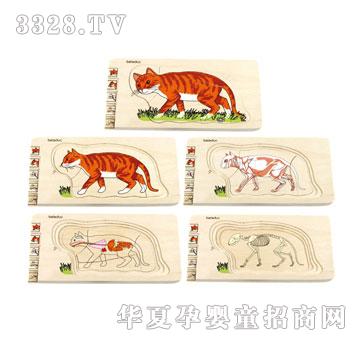 ؐ��(l��)�����ƴ�D-؈