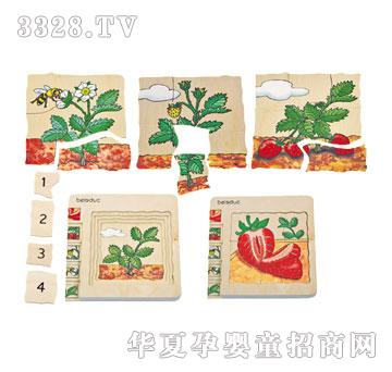 ؐ��(l��)�����ƴ�D-��ݮ