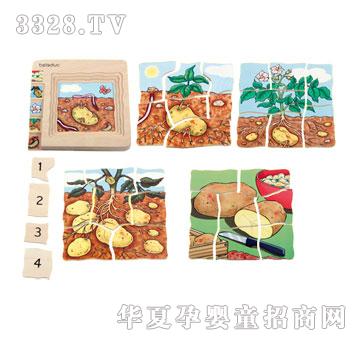 ؐ��(l��)�����ƴ�D-����