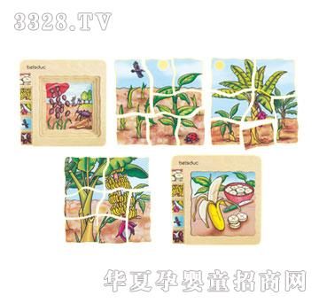 ؐ��(l��)�����ƴ�D-�㽶