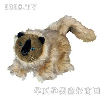 ؐ��(l��)�����_؈-��(d��ng)����ż